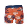 Kopie von Kopie von BOXER DE BAIN - FISH - 4