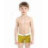 TRUNK - POUSSIN - 1