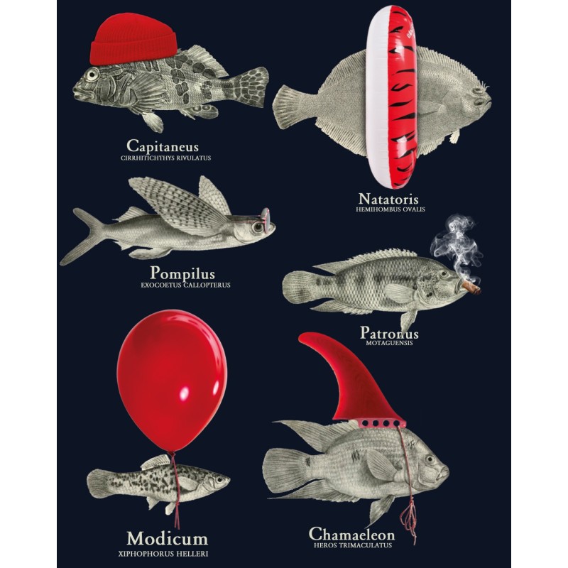 copia de Capucha Lycra Anti Uv → SARDINE - 2