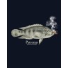 Lycra Anti Uv Capuche → MARINE - 8