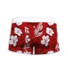 Boxer de bain →  HAWAIIROUGE