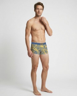 Bañador Boxer Hombre – FEUILLAGE - 5