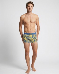 Bañador Boxer Hombre – FEUILLAGE - 4