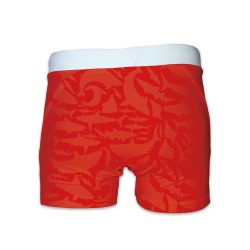 BOXER DE BAIN - PANTONE 7 Couleurs disponibles
