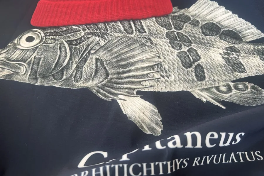Détail d'un imprimé UVEA : poisson gravé au bonnet rouge sur fond marine
